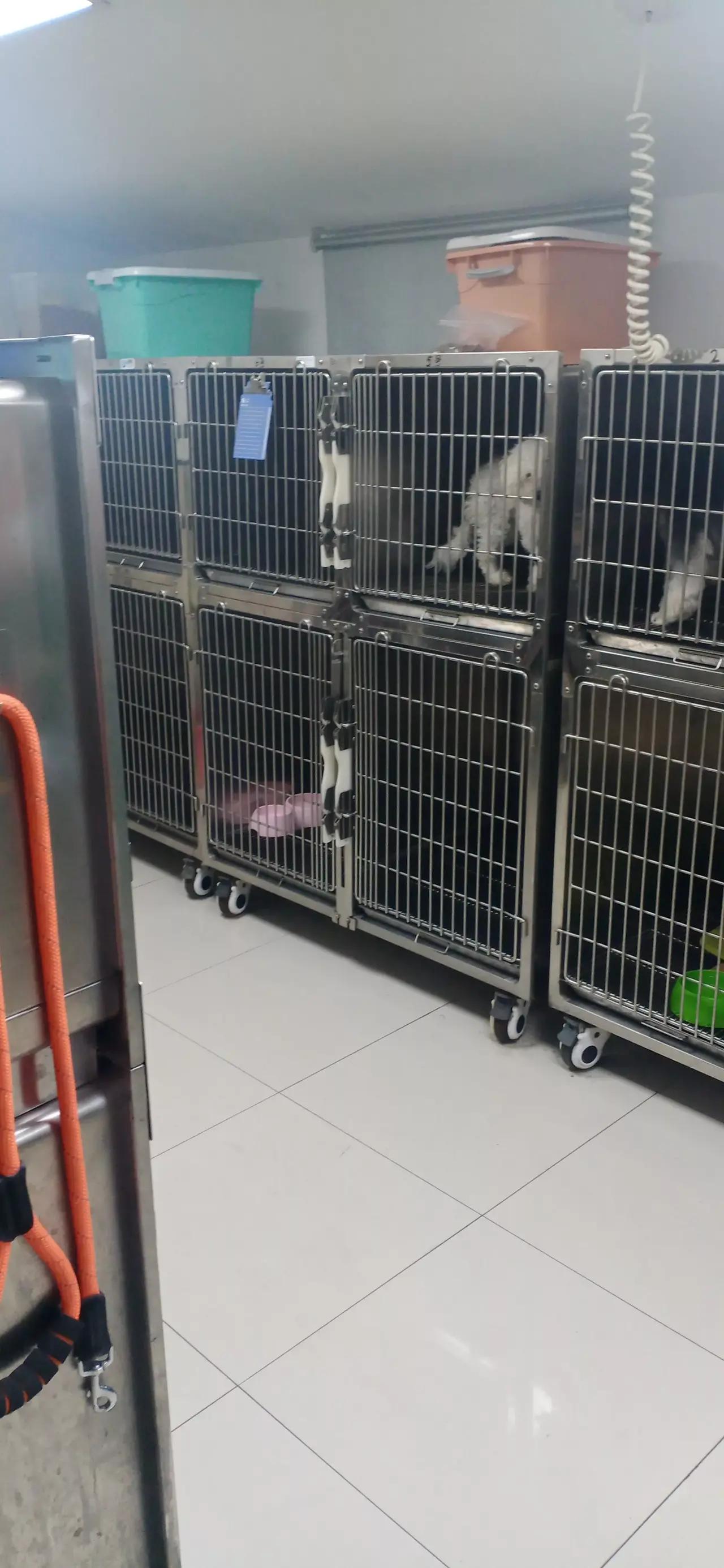 丢了才知道珍惜怎么安慰,丢了才知道漫画