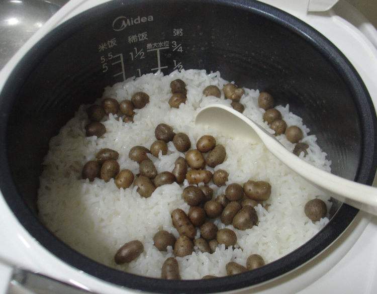 煮饭要放什么煮出来的米饭才香,煮饭到底用冷水