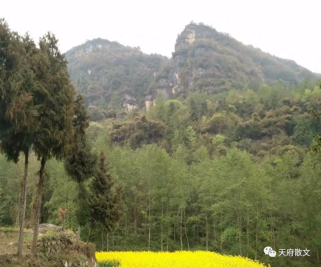 心中的道那么难求吗,心中的道小说