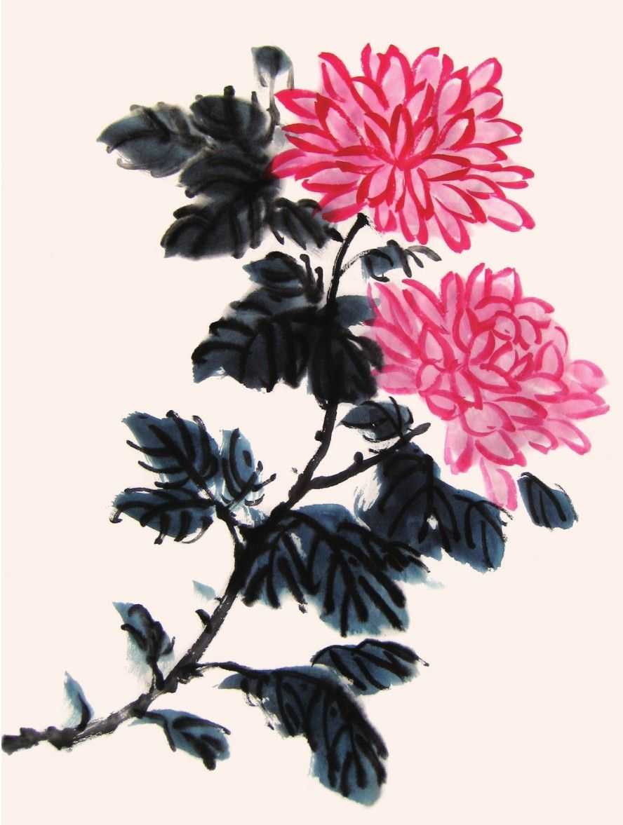 国画知识：不会画菊花？教你5种菊花画法，简单易学，快来临摹吧