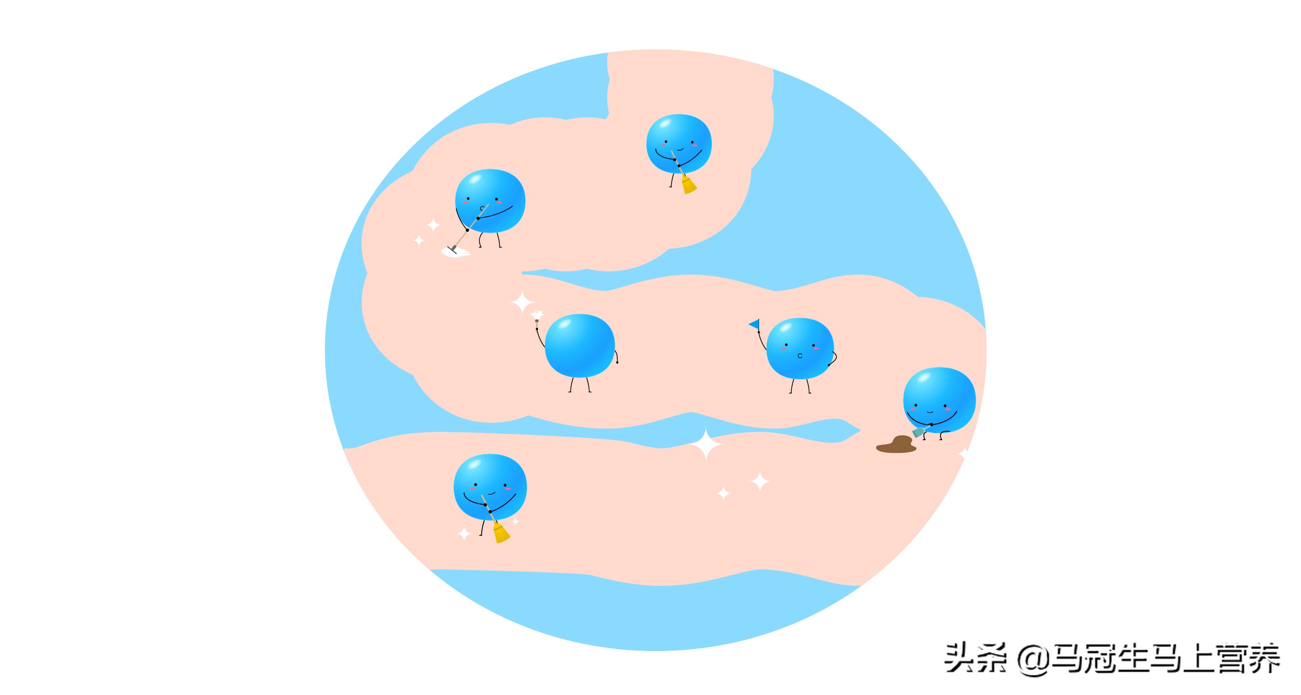 日常生活如何补充益生菌,日常生活中怎么补充益生菌