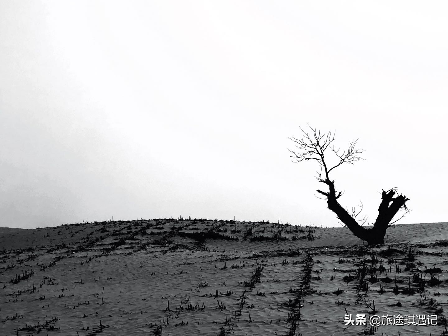 从阿拉尔到塔克拉玛干,从库尔勒去和田的最佳沙漠公路