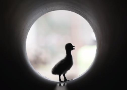 2019年二月营销日历,2022全年营销日历来了建议收藏