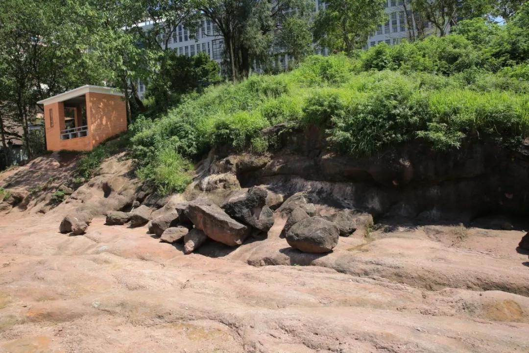 广州吃海鲜最便宜的地方2018年,广州的海鲜哪里又新鲜又便宜