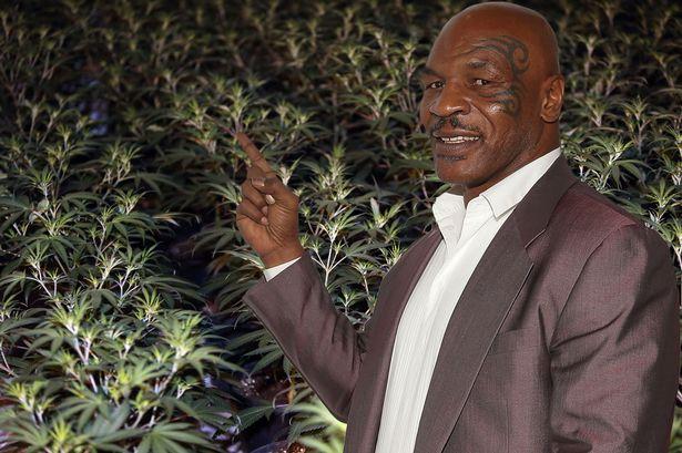 传奇的延续!毒枭泰森推出最新产品,产品的名字太霸气