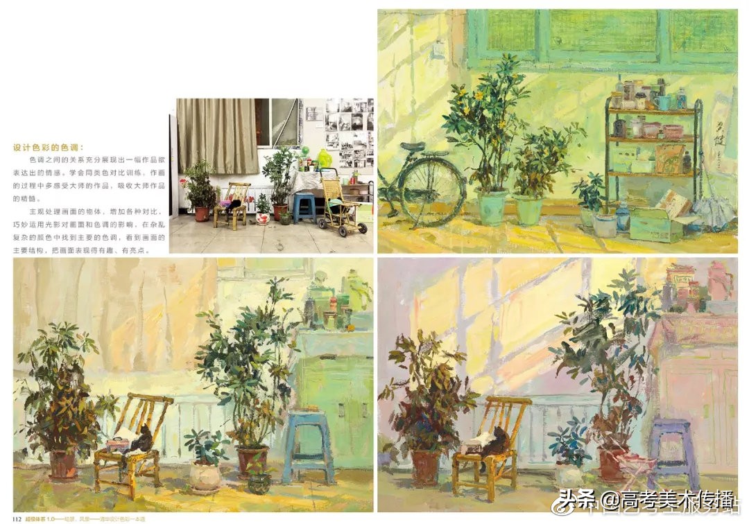 校考必备常识及答案,校考彩头高分秘诀