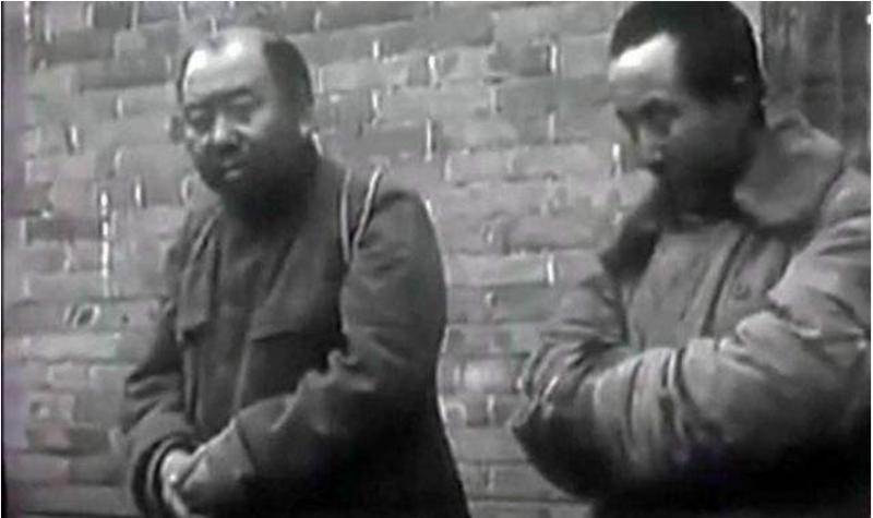 贺晋年谢文东电视剧,东北匪首谢文东结局