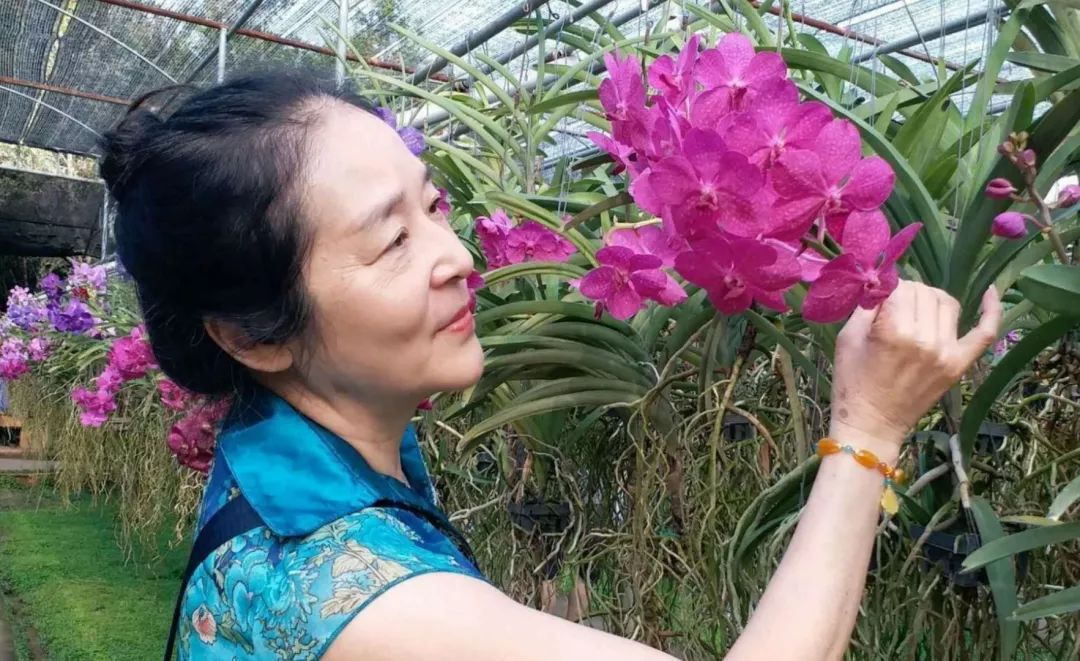 大妈旅游照专用动作,中国大妈外出旅游标准动作