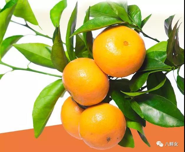 为什么收购滞销果农不值得同情,水果批发商帮助果农解决滞销水果