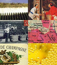 champagne香槟酒有多少种型号,champagne香槟多少度