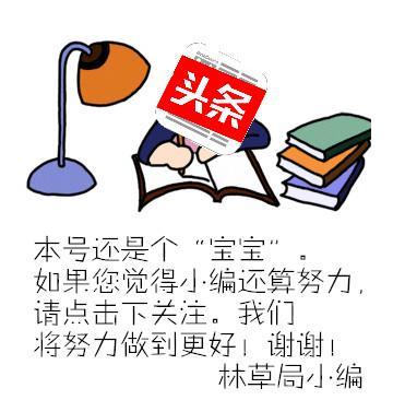 【树木传奇】你有的不只是铜枝铁干——橡树