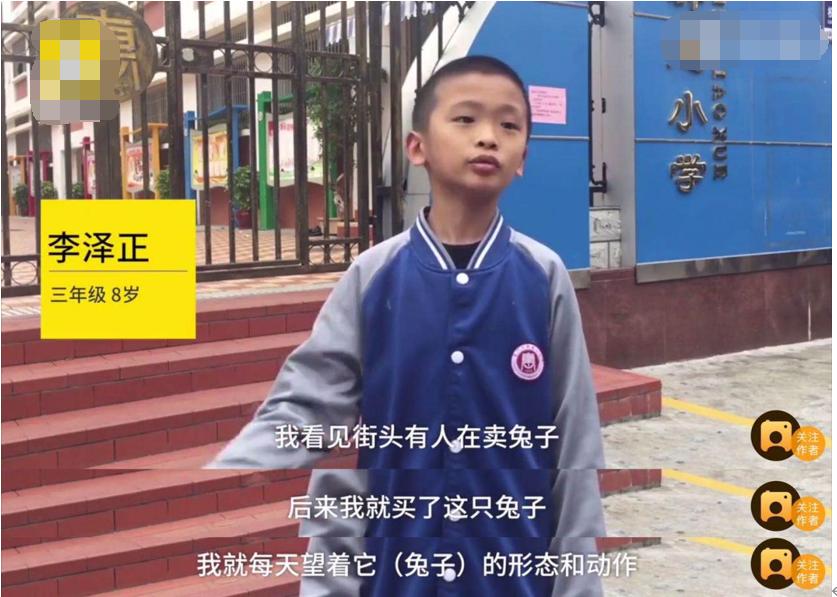 陈赫女儿学游泳一个月,陈赫女儿学习曾小贤