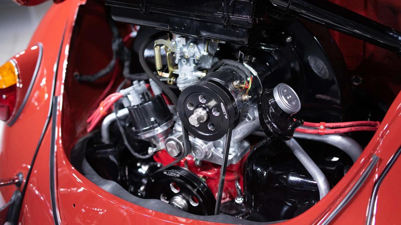 甲壳虫安妮视频,甲壳虫安妮后续