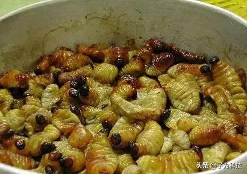 在国外卖皮蛋和咸鸭蛋被抓？歪果警方：不适合人类食用…