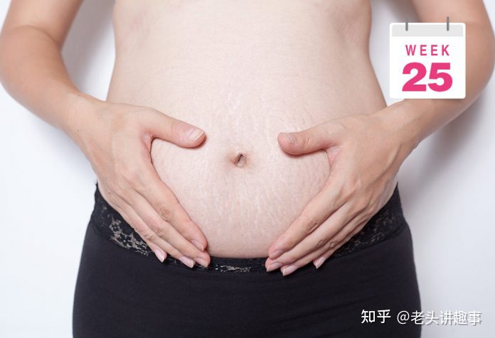 1-40周胎儿发育视频3d,胎儿1-40周发育全过程图解