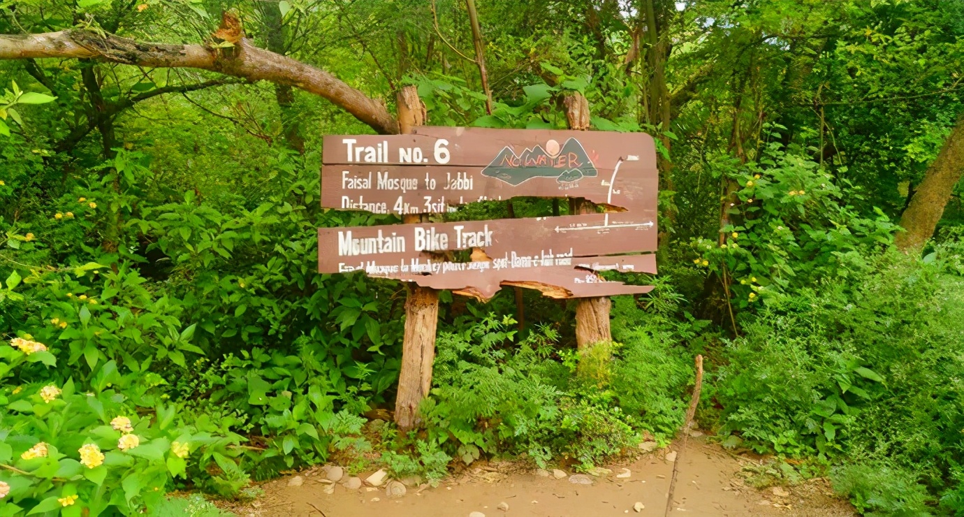 中国人去巴基斯坦有哪些优待,中国人去巴基斯坦旅游会被优待吗