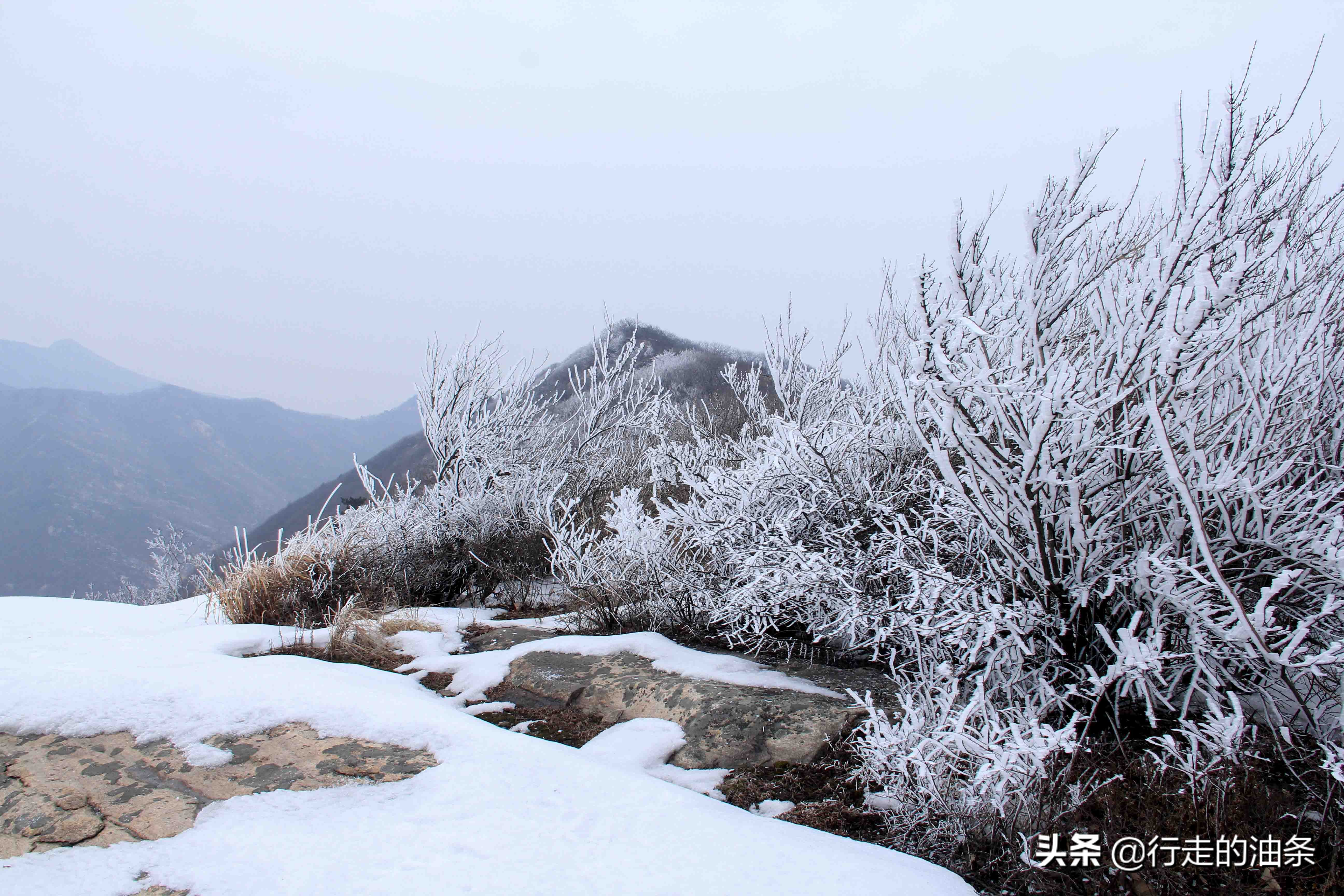 雪山迷路,雪山里迷路