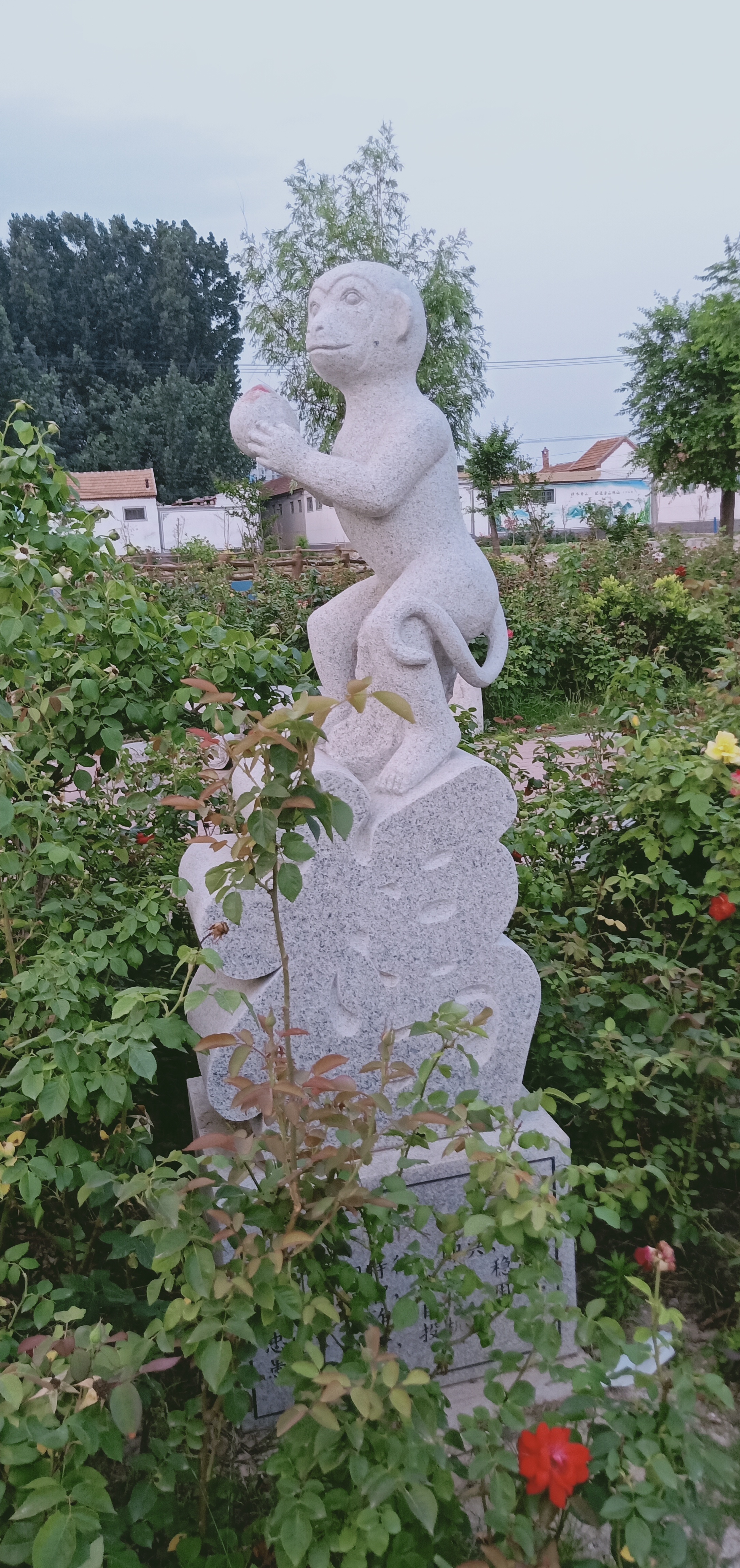 怎么介绍自己的属相给大家听,属相了解一个人