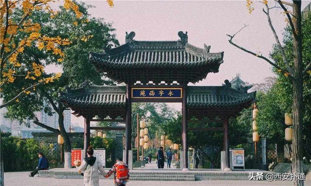 西安一个小网红,西安一个高高瘦瘦的网红