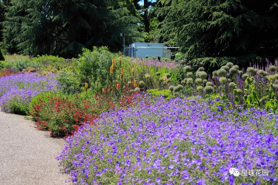 二木带你游花园|邱园（kewgarden）离我们到底有多远？