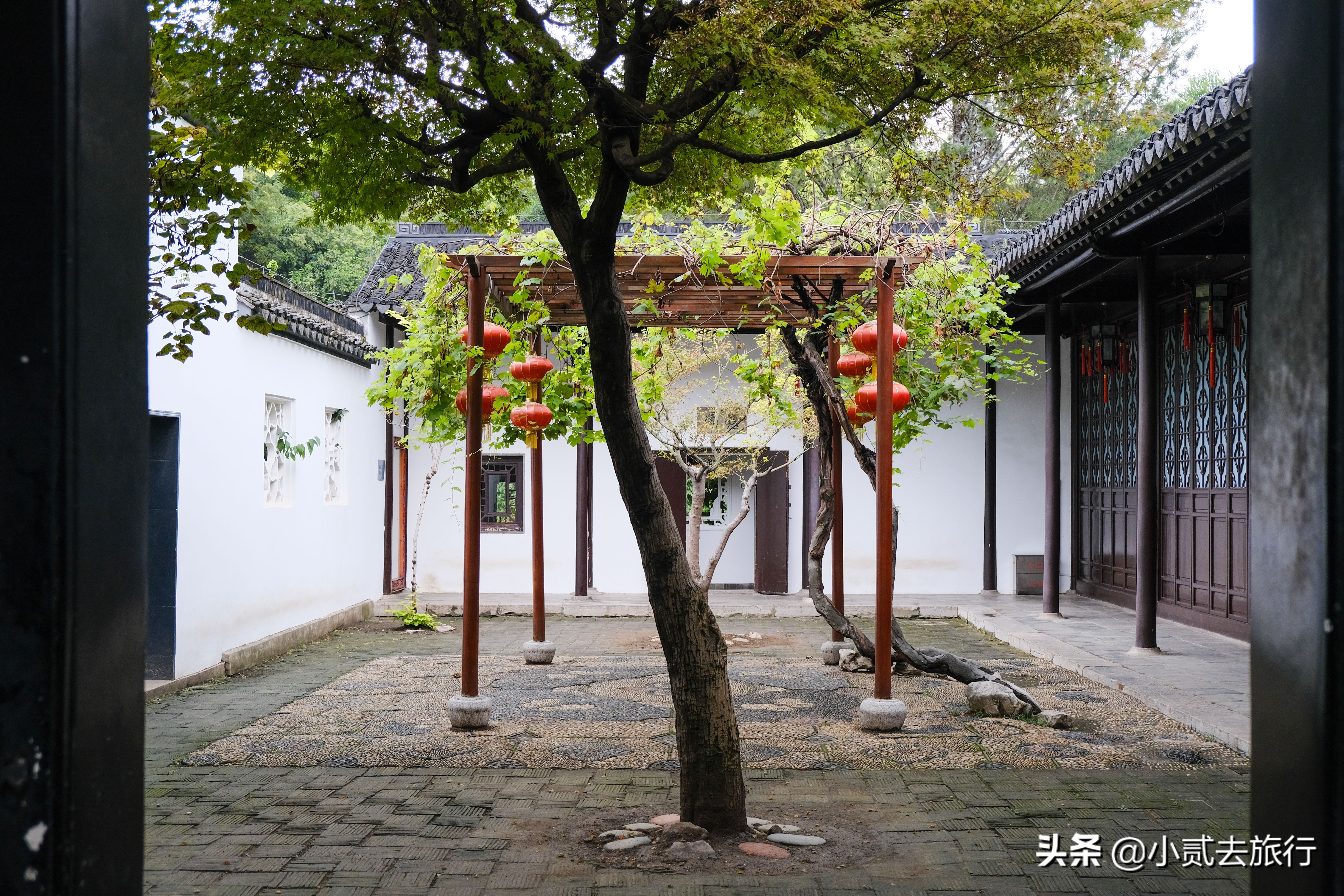 瞻园最经典的地方,瞻园最著名的景点