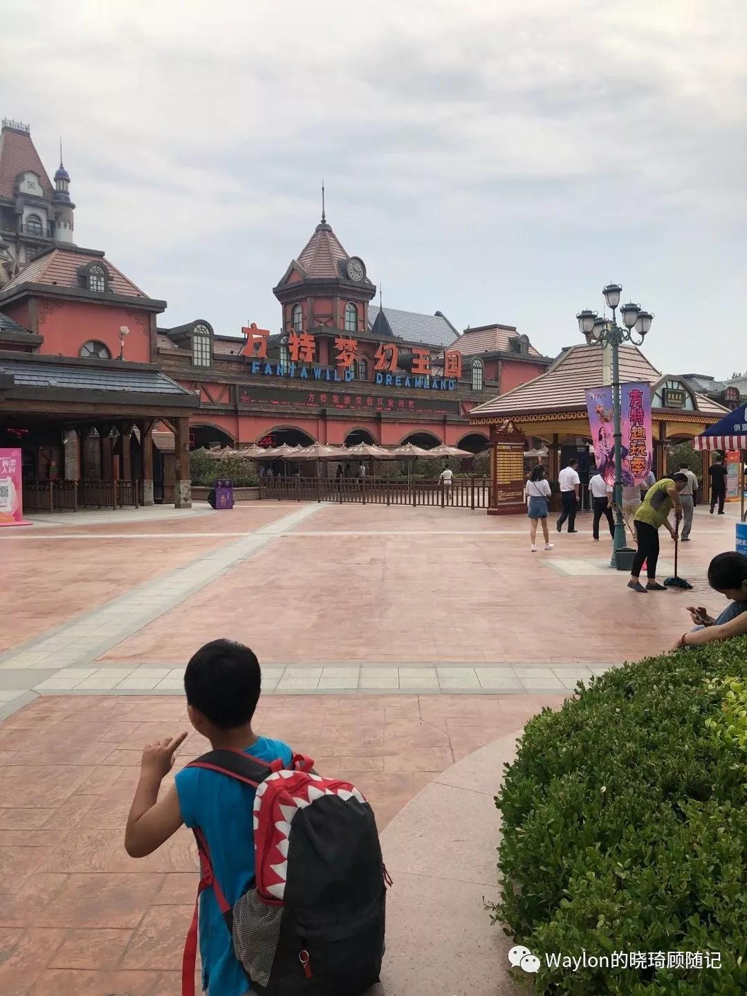 2019新西兰,2019年新西兰