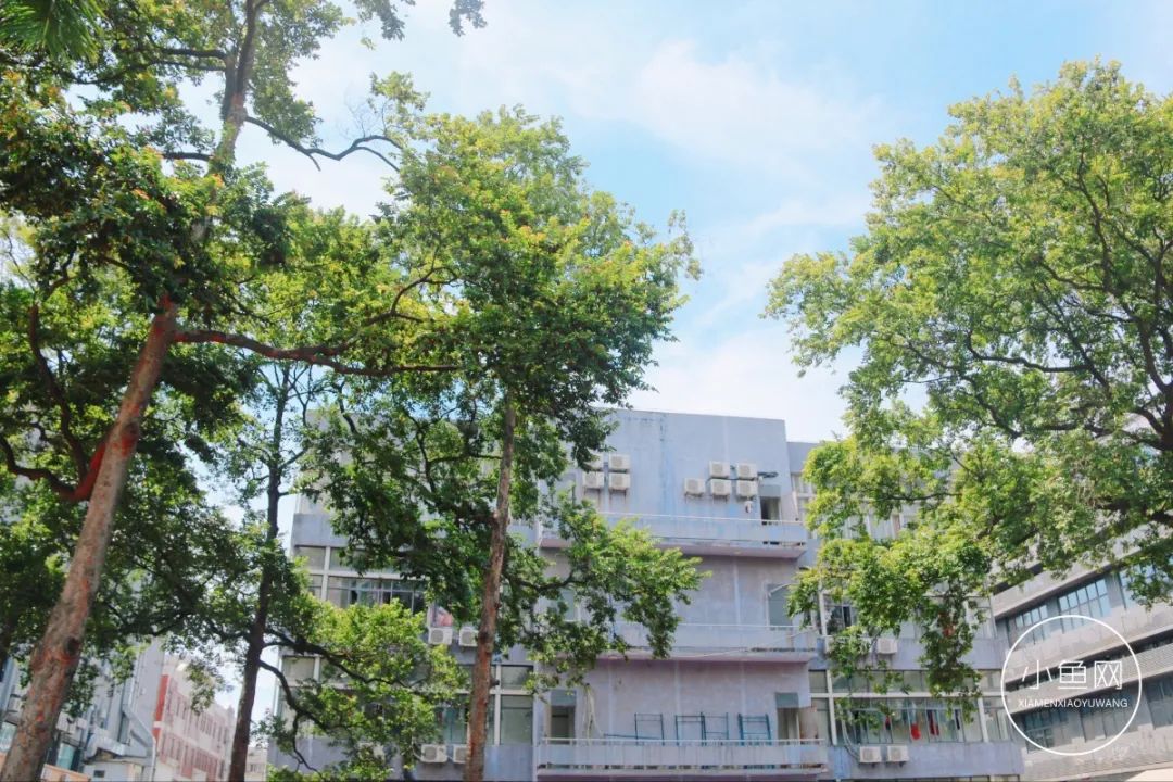 厦门湖里2020旧村改造,厦门湖里拆迁改造