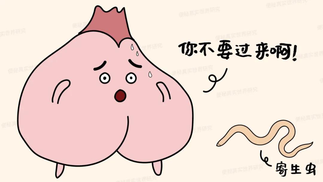 局部周围持续瘙痒,菊部痒是怎么回事