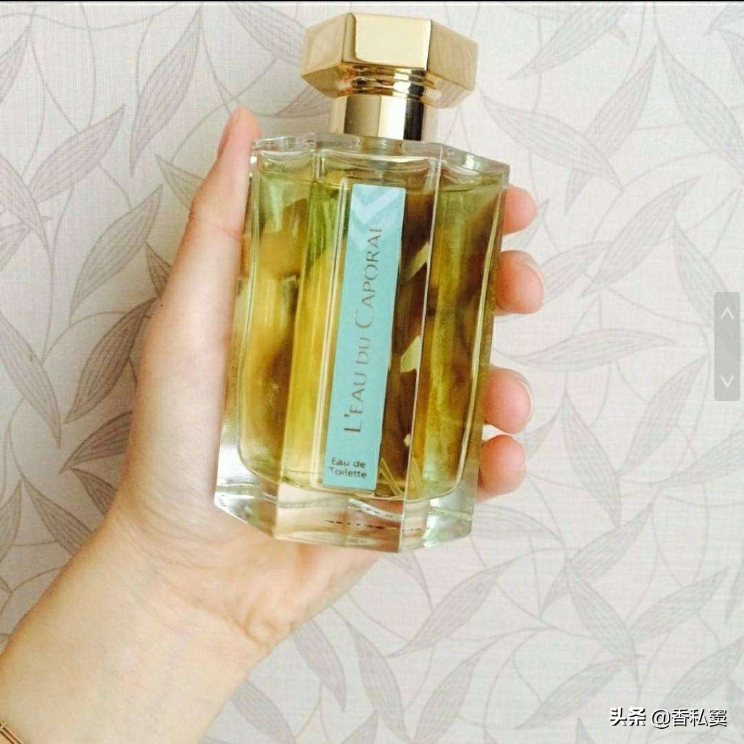 什么香水好闻淡淡的果香薄荷冷香,有没有好闻的薄荷味香水推荐