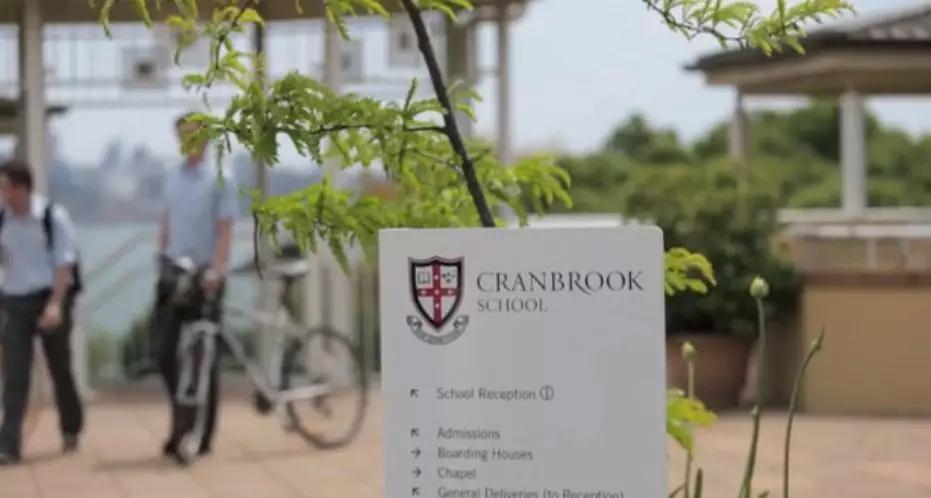 克兰布鲁克学院,布鲁可学院