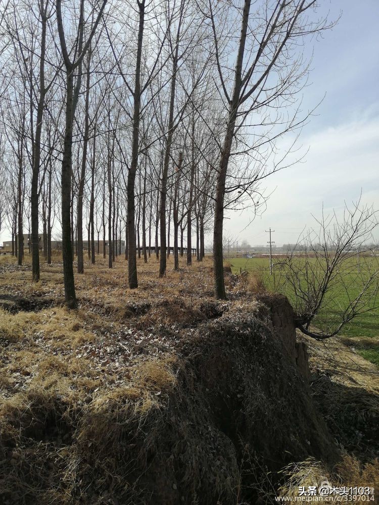 在路上之南迦巴瓦,在路上之川西美景