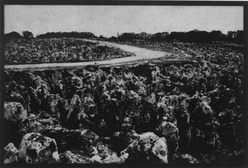 鸟粪可以消灭哪些国家,鸟粪会导致两个国家衰落吗