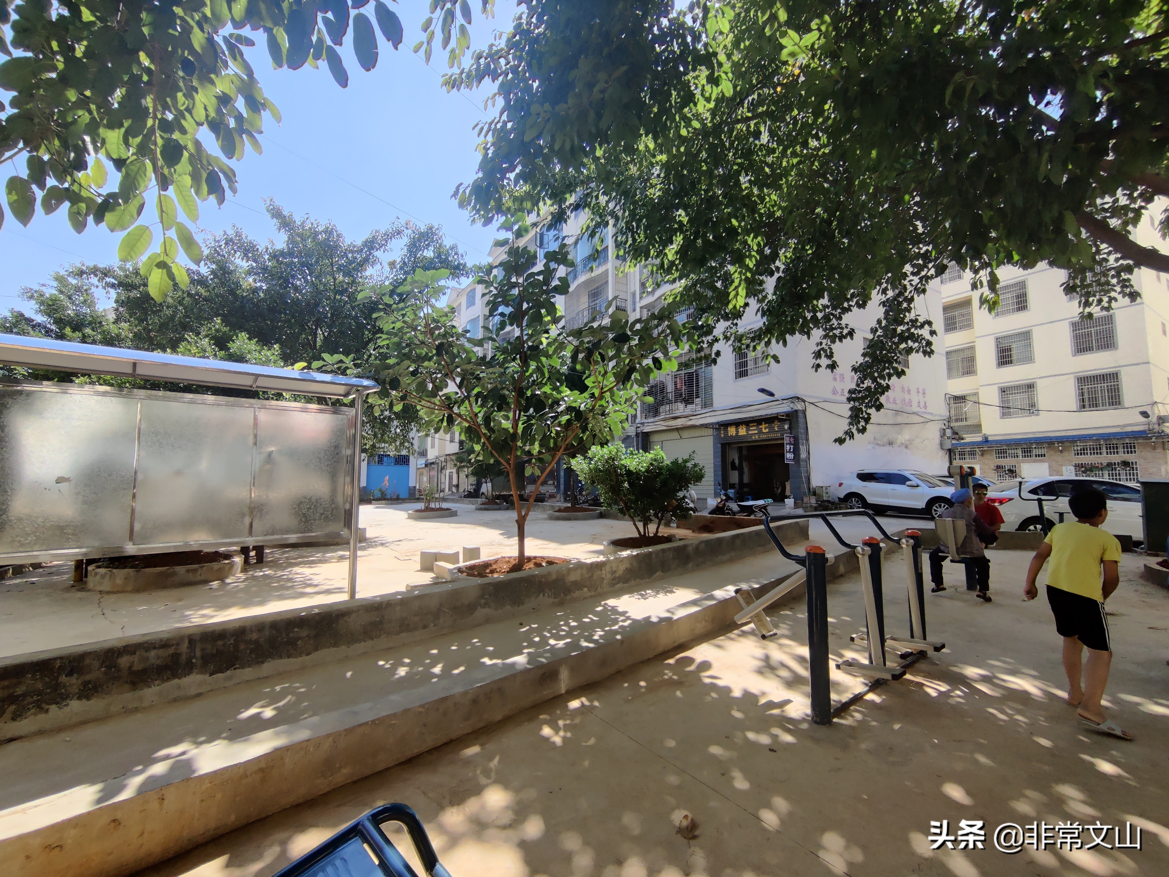 创卫创文行动,创文创卫新举措