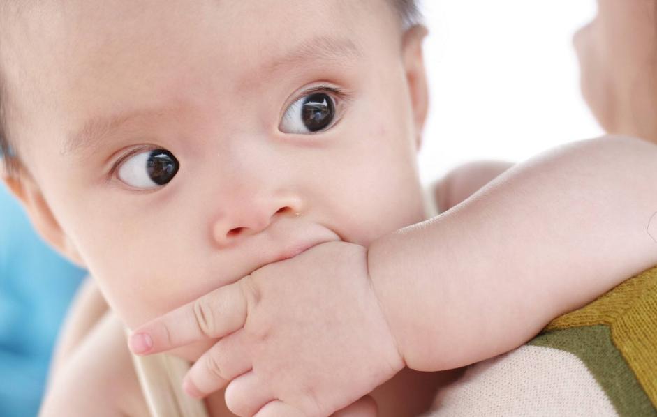 宝宝见什么东西都爱啃是什么原因,宝宝见啥就啃