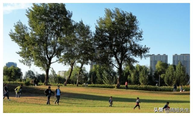 沈阳长白岛网红打卡,沈阳长白岛森林公园旅游攻略