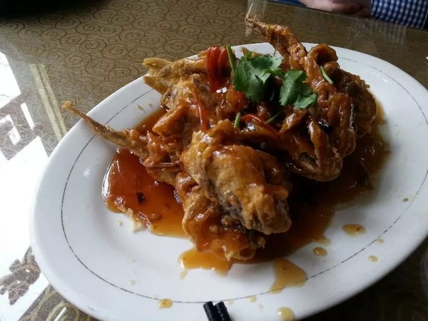 「满月旅行第一站大连」周二，总是过的很二很难忘