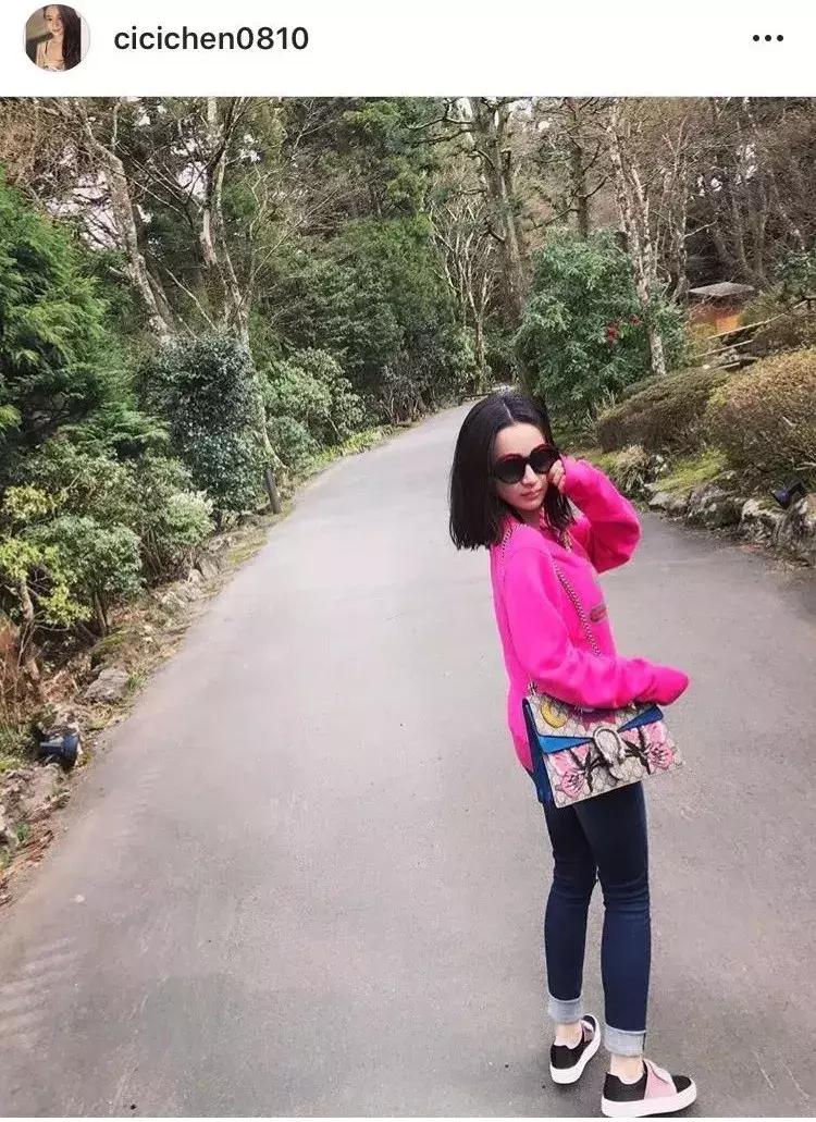 吴秀波出轨女主角:假包、假表、真小三