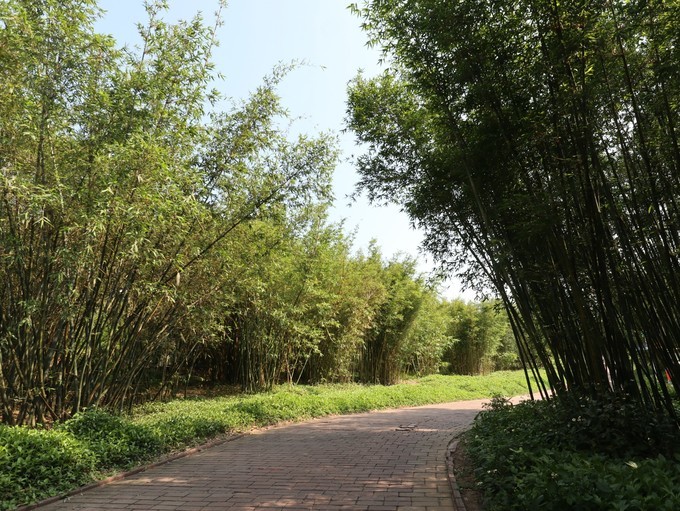 携家带口游火山岛,火山岛旅游攻略自由行包车