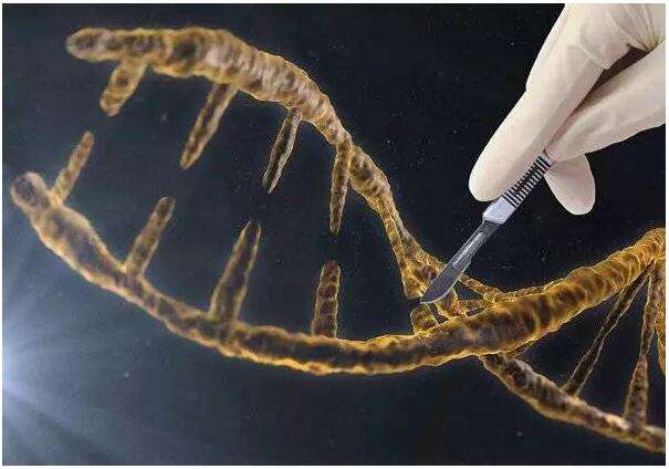 2018年科技趋势预测,2019科技新闻热点汇总