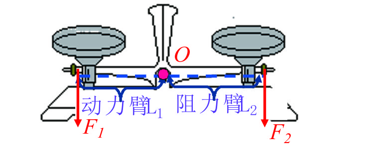 科学小实验天平,六年级科学实验探究杠杆平衡规律