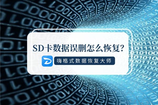 如何恢复sd卡删除的视频和照片,sd卡数据丢失怎么恢复