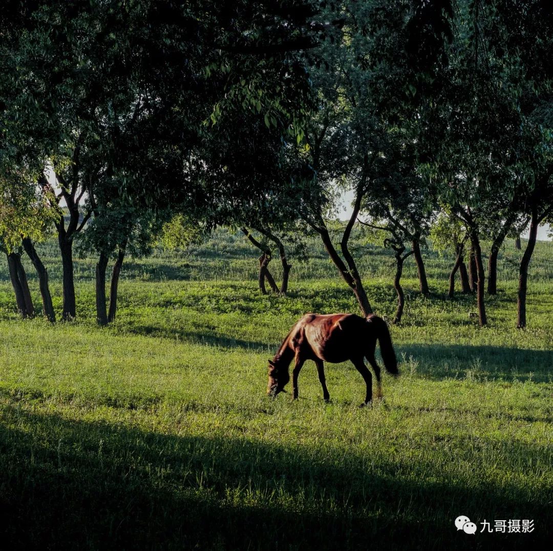 坝上草原天路美景,大美坝上风光系列之一