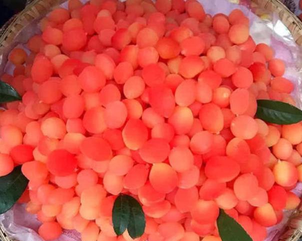 红色的色素假水果,各种假水果大全