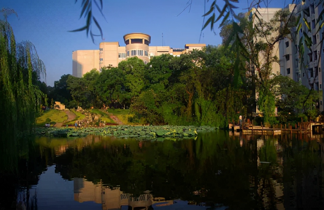 西南大学要考多少分能录取,如果想考进西南大学需要考多少分