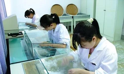 a类面料的执行标准,童装面料检测标准