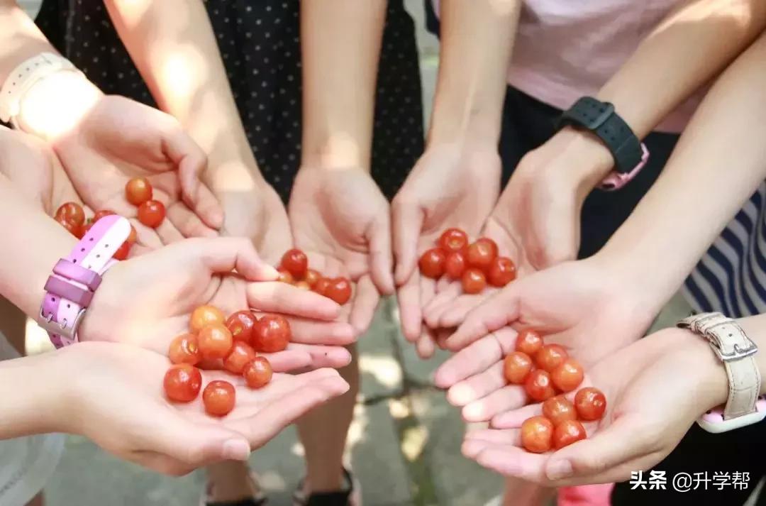 恩桃儿的视频,恩桃儿红了