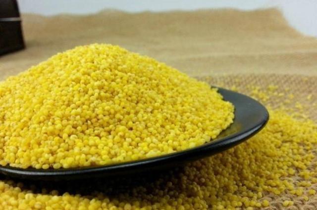 野钓酒米窝料哪个好,酒米窝料色素添加比例