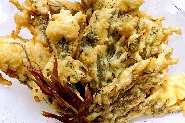 鑸屽皷涓婄殑缇庡懗瀵绘壘,鑸屽皷涓婄殑灞辩弽鍛抽亾