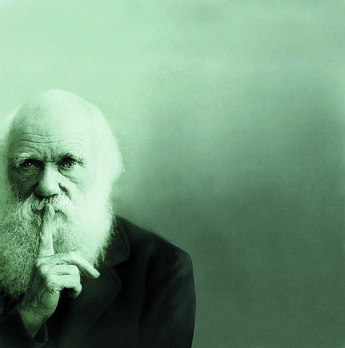 地球海洋形成史,地球原始海洋是什么样子的