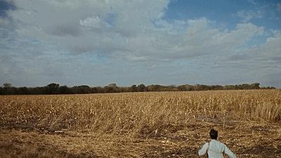 邦妮与克莱德属于新好莱坞电影吗,雌雄大盗邦妮和克莱德被打成筛子